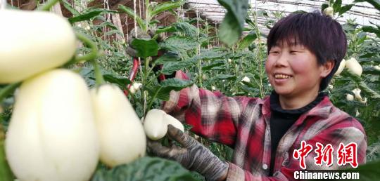 乐动体育 LD体育沙漠结出致富果 创业女能手“南果北植”带富一方(图2) 乐动体育 LD体育沙漠结出致富果 创业女能手“南果北植”带富一方(图2)