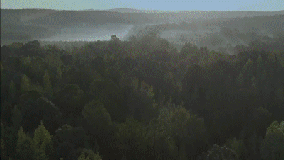 LD乐动 乐动体育仪器仪表资料下载_动态资讯_产品选型_中国工控网(图5)