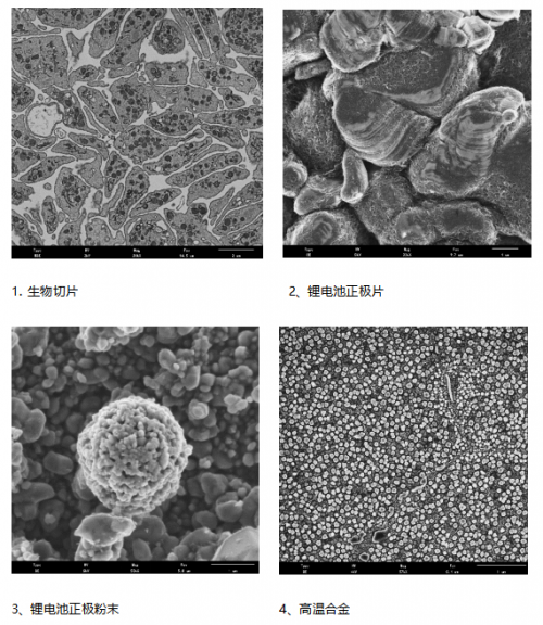 挑战巅峰!国产电镜迎来“跨越式”高质量发展乐动体育 LD体育(图7) 挑战巅峰!国产电镜迎来“跨越式”高质量发展乐动体育 LD体育(图7)