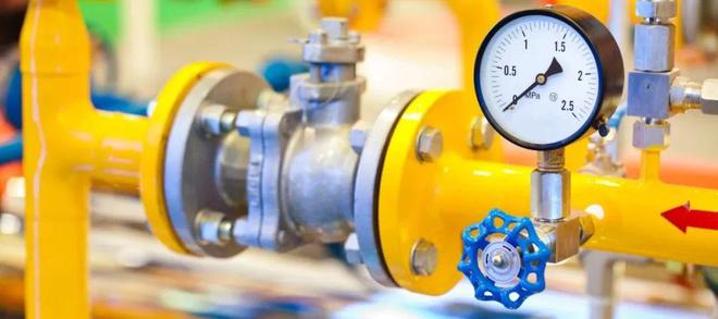 LD乐动 乐动体育如何执行压力表的强制检验