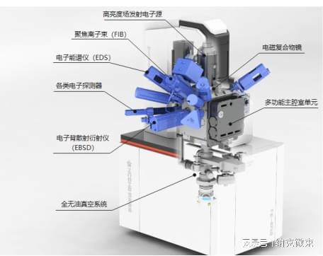 LD乐动 乐动体育全段亚纳米!纳克微束发布国内首款极高分辨(场发射)扫描电镜(图5) LD乐动 乐动体育全段亚纳米!纳克微束发布国内首款极高分辨(场发射)扫描电镜(图5)