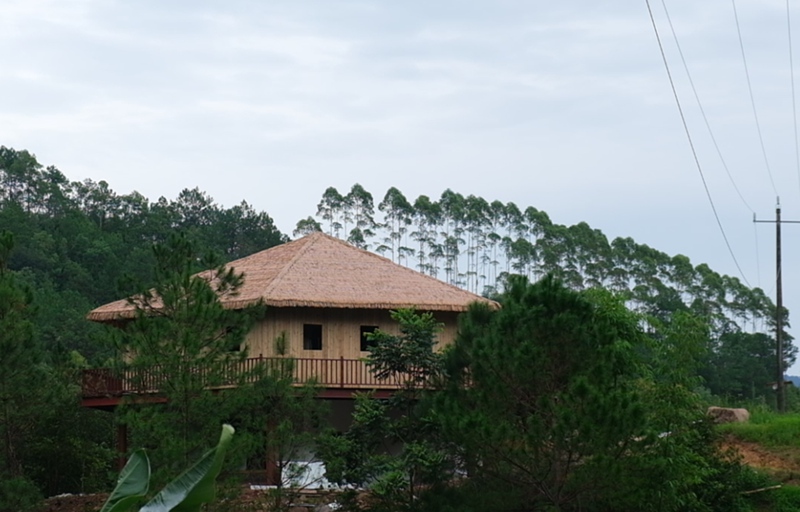 LD乐动体育浙滇“山海情”:跨越千里的帮扶“芝”路(图6) LD乐动体育浙滇“山海情”:跨越千里的帮扶“芝”路(图6)