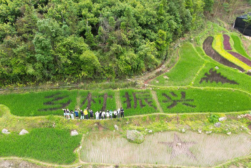LD乐动体育浙滇“山海情”:跨越千里的帮扶“芝”路(图7) LD乐动体育浙滇“山海情”:跨越千里的帮扶“芝”路(图7)