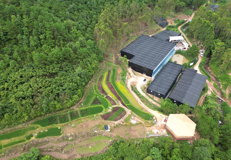 LD乐动体育浙滇“山海情”:跨越千里的帮扶“芝”路(图2) LD乐动体育浙滇“山海情”:跨越千里的帮扶“芝”路(图2)