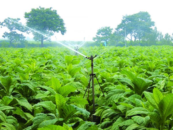 郏县组织融合联建赋能“三色经济”乐动体育 LD体育(图2) 郏县组织融合联建赋能“三色经济”乐动体育 LD体育(图2)