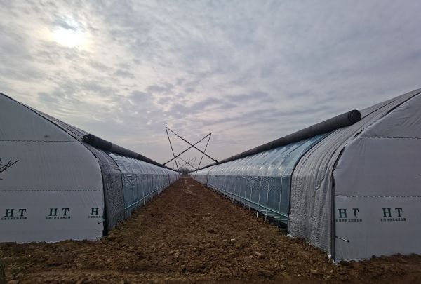 郏县组织融合联建赋能“三色经济”乐动体育 LD体育(图3) 郏县组织融合联建赋能“三色经济”乐动体育 LD体育(图3)