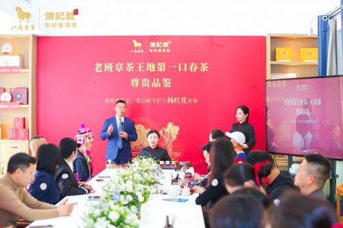 八马茶业普洱茶：老班章茶王茶后树守护乐动体育人亲奉的春茶味