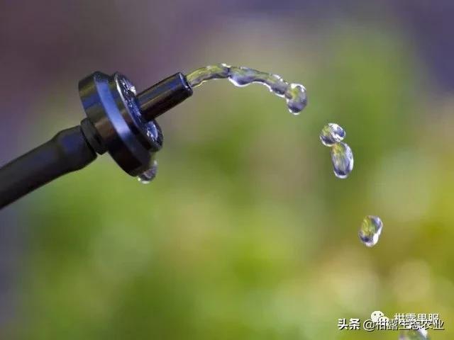 水肥一体化是未来农业的发展方向该如何实施？LD乐动体育