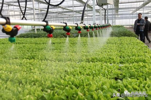 水肥一体化是未来农业的发展方向该如何实施?LD乐动体育(图2) 水肥一体化是未来农业的发展方向该如何实施?LD乐动体育(图2)