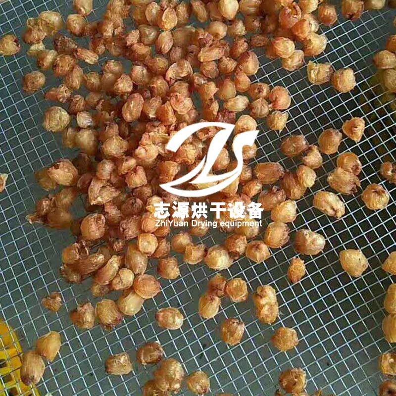 LD乐动 乐动体育多功能热泵龙眼烘干机精准控温控湿