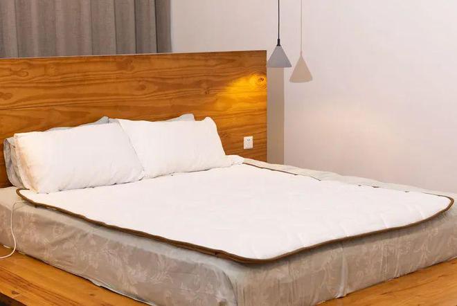 LD乐动 乐动体育藏在被窝里的「小暖炉」!双人床上两种温度100%除螨除湿…安心睡整晚(图3) LD乐动 乐动体育藏在被窝里的「小暖炉」!双人床上两种温度100%除螨除湿…安心睡整晚(图3)