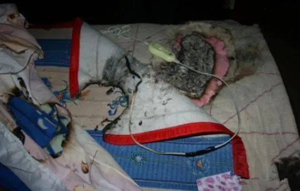 LD乐动 乐动体育藏在被窝里的「小暖炉」!双人床上两种温度100%除螨除湿…安心睡整晚(图15) LD乐动 乐动体育藏在被窝里的「小暖炉」!双人床上两种温度100%除螨除湿…安心睡整晚(图15)