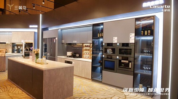 乐动体育持续优于过去!海尔厨电连涨7年今再逆增(图2) 乐动体育持续优于过去!海尔厨电连涨7年今再逆增(图2)