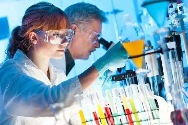 LD乐动 乐动体育黄瓜霜霉病的又一防控方法(图3) LD乐动 乐动体育黄瓜霜霉病的又一防控方法(图3)