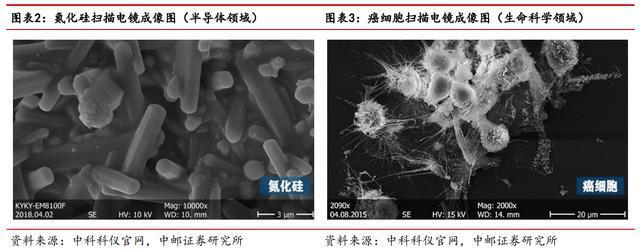 进口依赖度高扫乐动体育 LD体育描电镜:贴息政策扶持下国产替代能否加速?(图3) 进口依赖度高扫乐动体育 LD体育描电镜:贴息政策扶持下国产替代能否加速?(图3)
