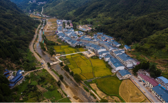 LD乐动体育中粮集团:助力奔小康(图3) LD乐动体育中粮集团:助力奔小康(图3)