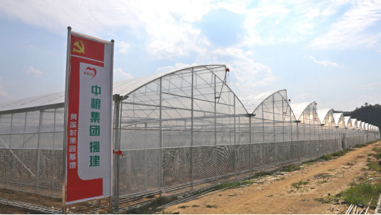 LD乐动体育中粮集团:助力奔小康(图4) LD乐动体育中粮集团:助力奔小康(图4)