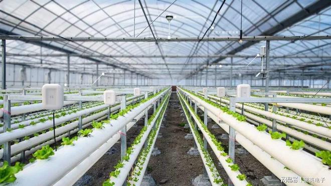 LD乐动 乐动体育远程智能控温用智慧温室大棚监测系统方案