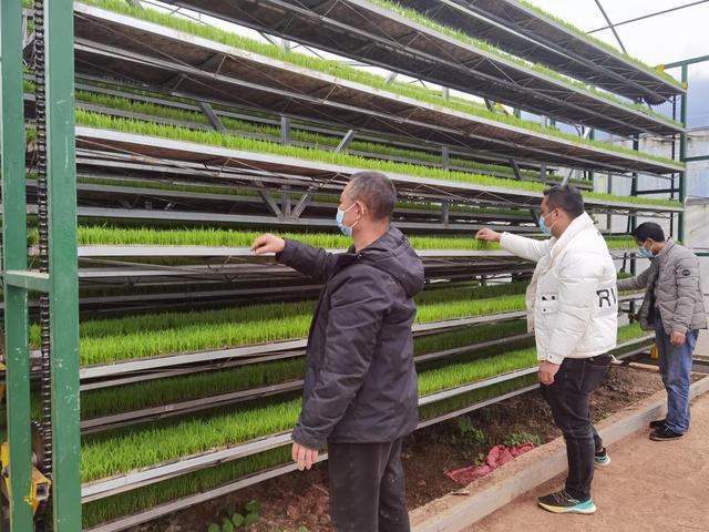 LD乐动 乐动体育新宁：智能农机添动力 春耕跑出“加速度”