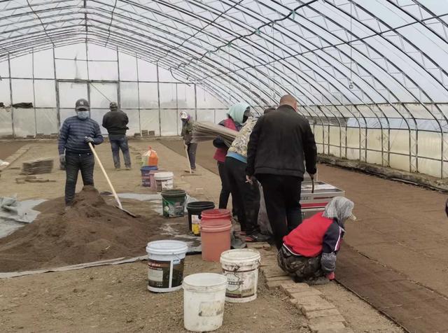 水稻乐动体育育苗开始啦!吉林市率先开启春耕生产(图2) 水稻乐动体育育苗开始啦!吉林市率先开启春耕生产(图2)