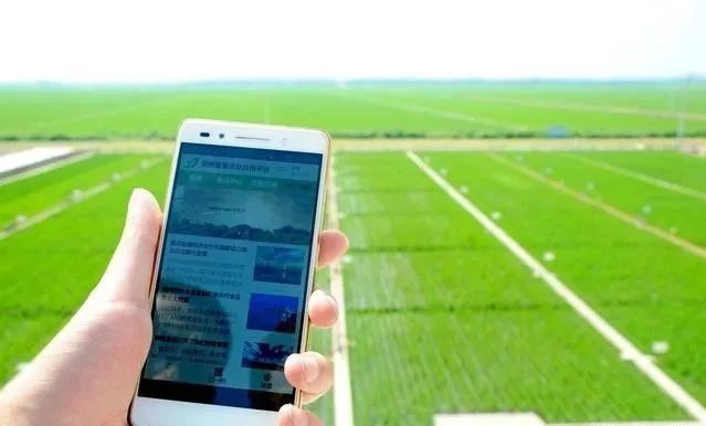 乐动体育 LD体育智慧农业的3大应用方向5大核心技术8大应用系统(图2) 乐动体育 LD体育智慧农业的3大应用方向5大核心技术8大应用系统(图2)