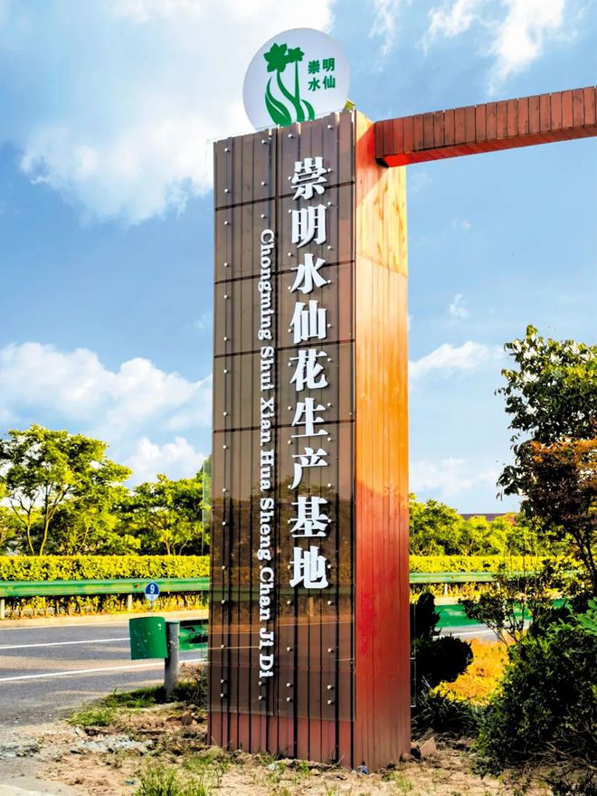 LD乐动体育崇明这对“姐妹花”唱响地域特色品牌(图2)