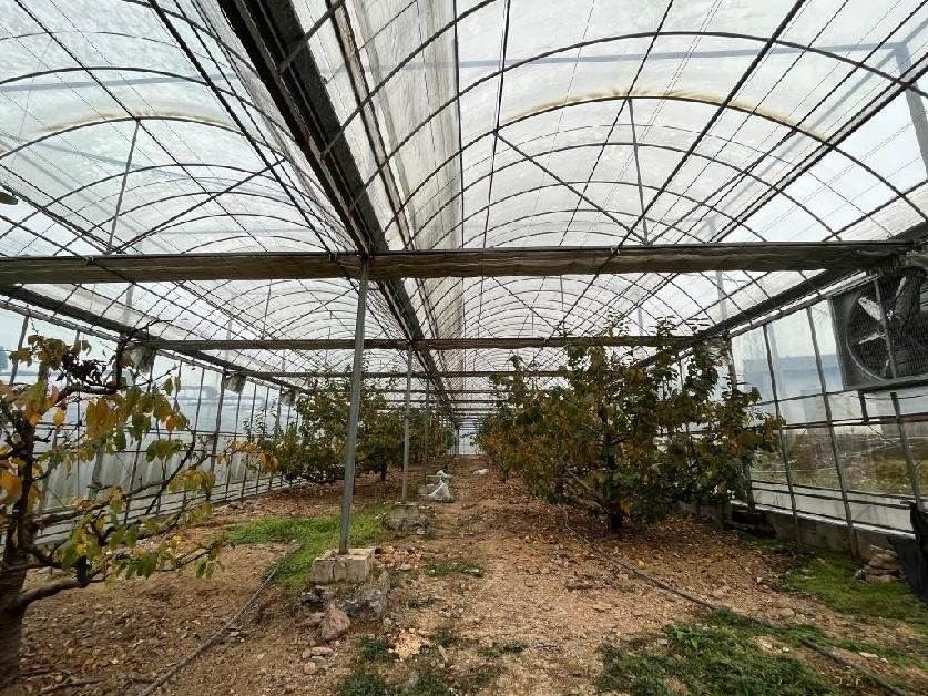 贵州高寒乡:荒山变“金山” 奏响富民“增收曲”LD乐动 乐动体育(图3) 贵州高寒乡:荒山变“金山” 奏响富民“增收曲”LD乐动 乐动体育(图3)