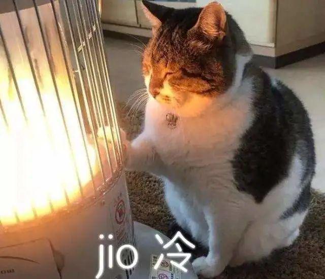 LD乐动 乐动体育“暖被窝”好物！一键控温除瞒躺下就睡温暖过冬(图2)