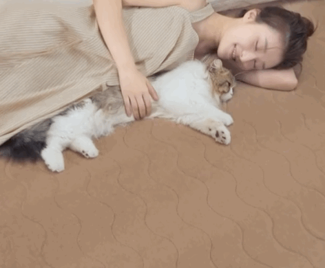 LD乐动 乐动体育“暖被窝”好物！一键控温除瞒躺下就睡温暖过冬(图9)