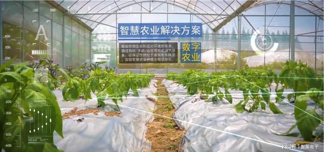 智能食LD乐动体育用菌大棚打造手机控温控湿的温室(图5) 智能食LD乐动体育用菌大棚打造手机控温控湿的温室(图5)