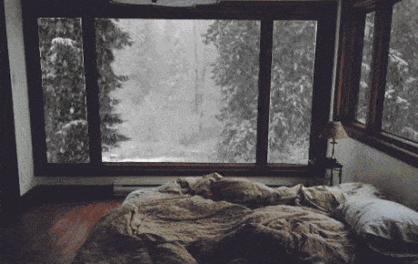 被窝里LD乐动 乐动体育的「小暖炉」自带“除螨”不干燥!快被欧洲人抢完了(图2) 被窝里LD乐动 乐动体育的「小暖炉」自带“除螨”不干燥!快被欧洲人抢完了(图2)