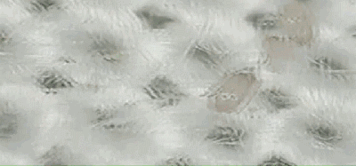 被窝里LD乐动 乐动体育的「小暖炉」自带“除螨”不干燥!快被欧洲人抢完了(图16) 被窝里LD乐动 乐动体育的「小暖炉」自带“除螨”不干燥!快被欧洲人抢完了(图16)