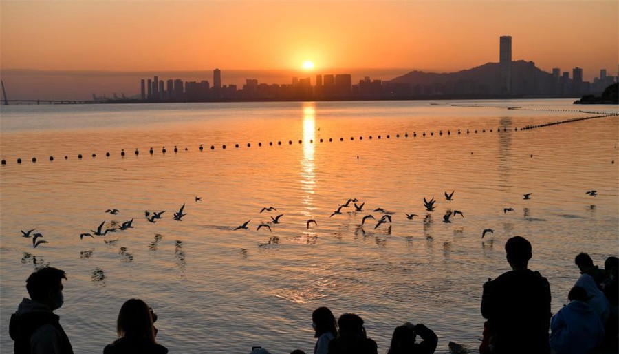 快讯：仪器仪表板块拉升 乐动体育三川智慧涨停