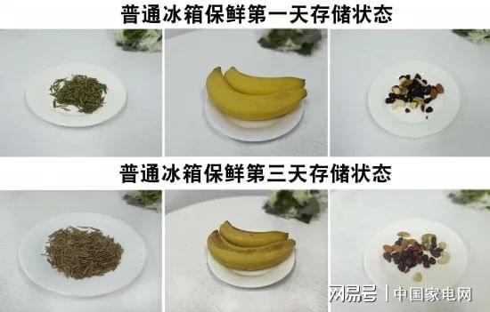 LD乐动 乐动体育海信璀璨系列新品JC-166WZKJC1P厅吧评测 真空存储打造艺术生活(图16) LD乐动 乐动体育海信璀璨系列新品JC-166WZKJC1P厅吧评测 真空存储打造艺术生活(图16)