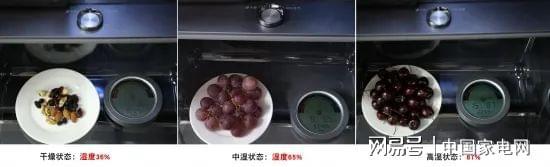 LD乐动 乐动体育海信璀璨系列新品JC-166WZKJC1P厅吧评测 真空存储打造艺术生活(图17) LD乐动 乐动体育海信璀璨系列新品JC-166WZKJC1P厅吧评测 真空存储打造艺术生活(图17)