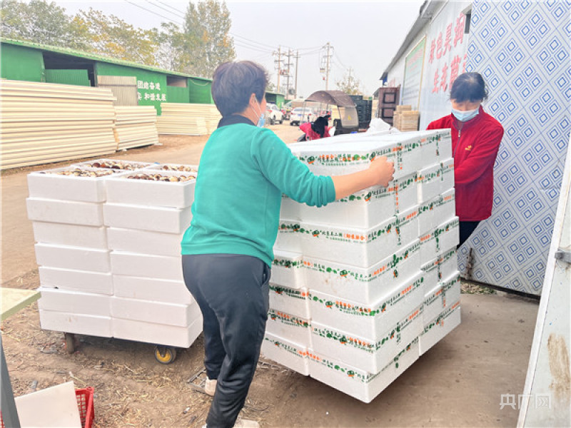 LD乐动 乐动体育平顶山市宝丰县：大球盖菇释放产业发展大能量(图2)