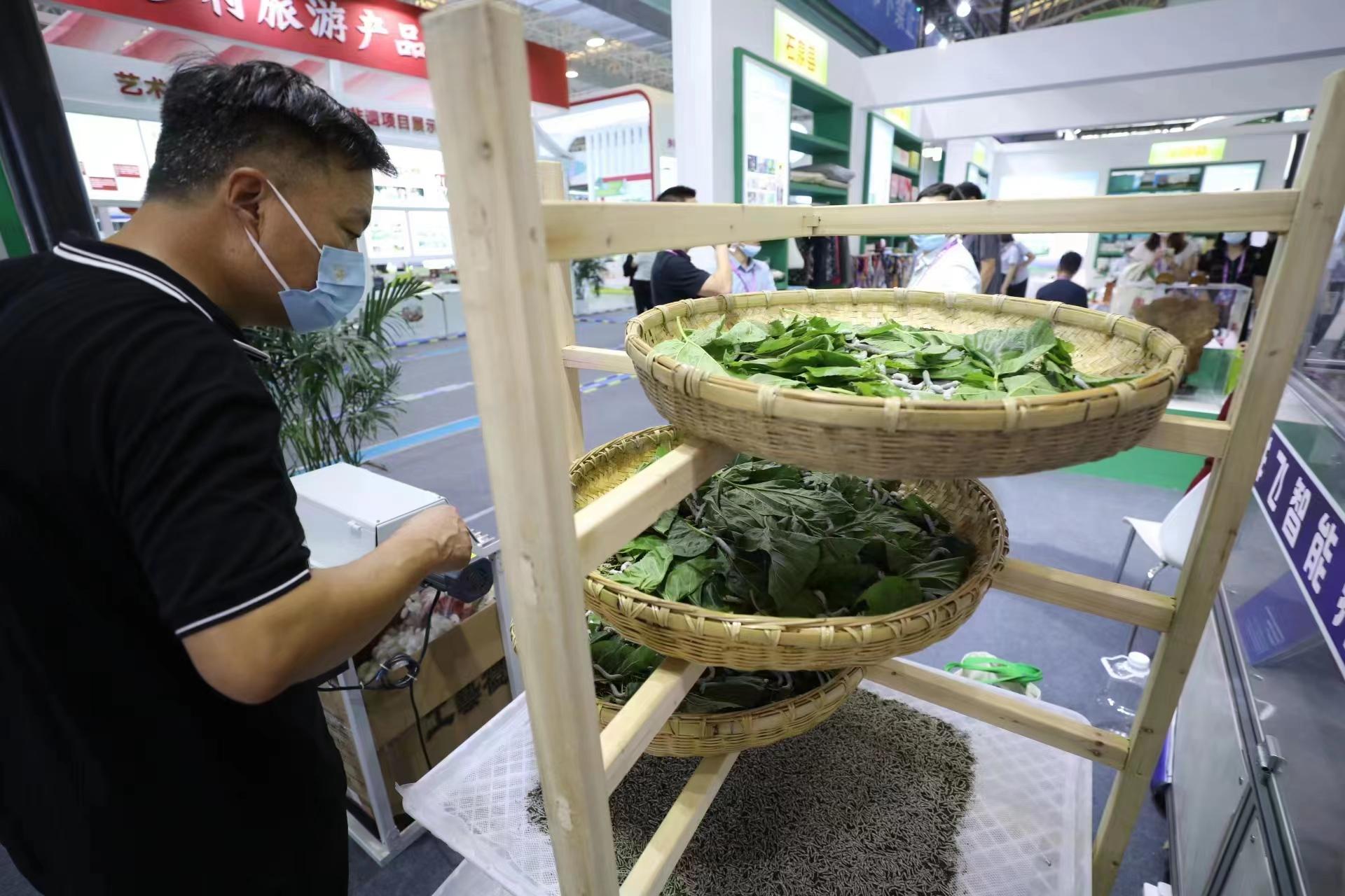 【图集】蚕宝宝住进“智能屋”乐动体育(图2)