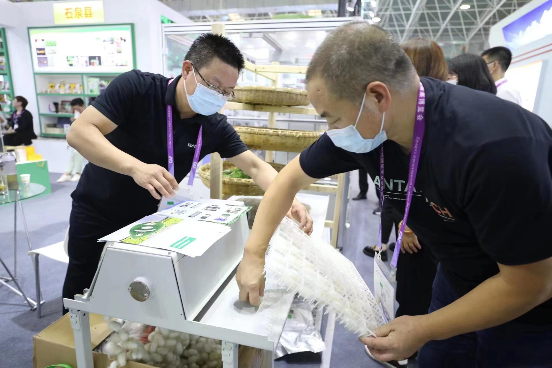 【图集】蚕宝宝住进“智能屋”乐动体育