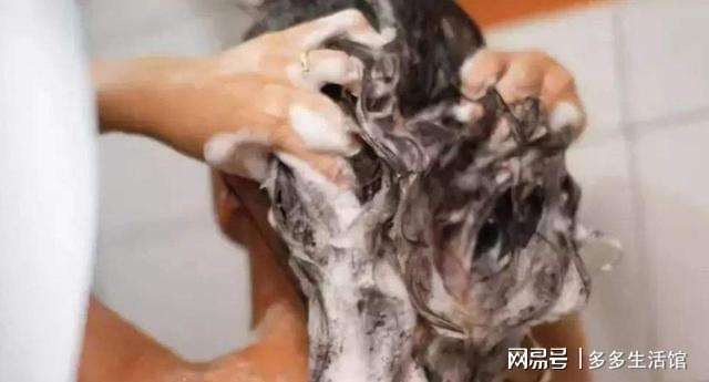 俗话说“早洗灭LD乐动 乐动体育阳气晚洗生湿气”如何正确洗头护发？有窍门(图3)