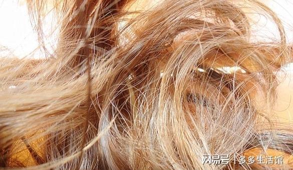 俗话说“早洗灭LD乐动 乐动体育阳气晚洗生湿气”如何正确洗头护发？有窍门(图10)