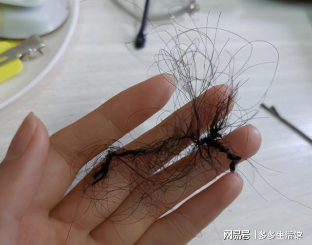 俗话说“早洗灭LD乐动 乐动体育阳气晚洗生湿气”如何正确洗头护发？有窍门(图11)