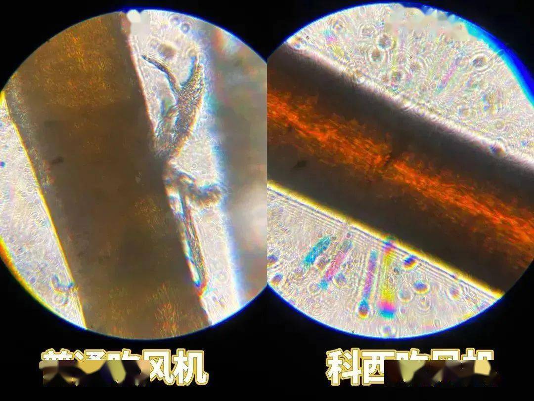 乐动体育牛逼！就因为它我已经看不上3000块的吹风机了(图10)