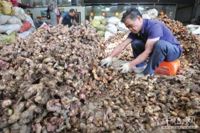 乐动体育 LD体育中山扶贫队破解潮州市饶平县石壁村南姜产业发