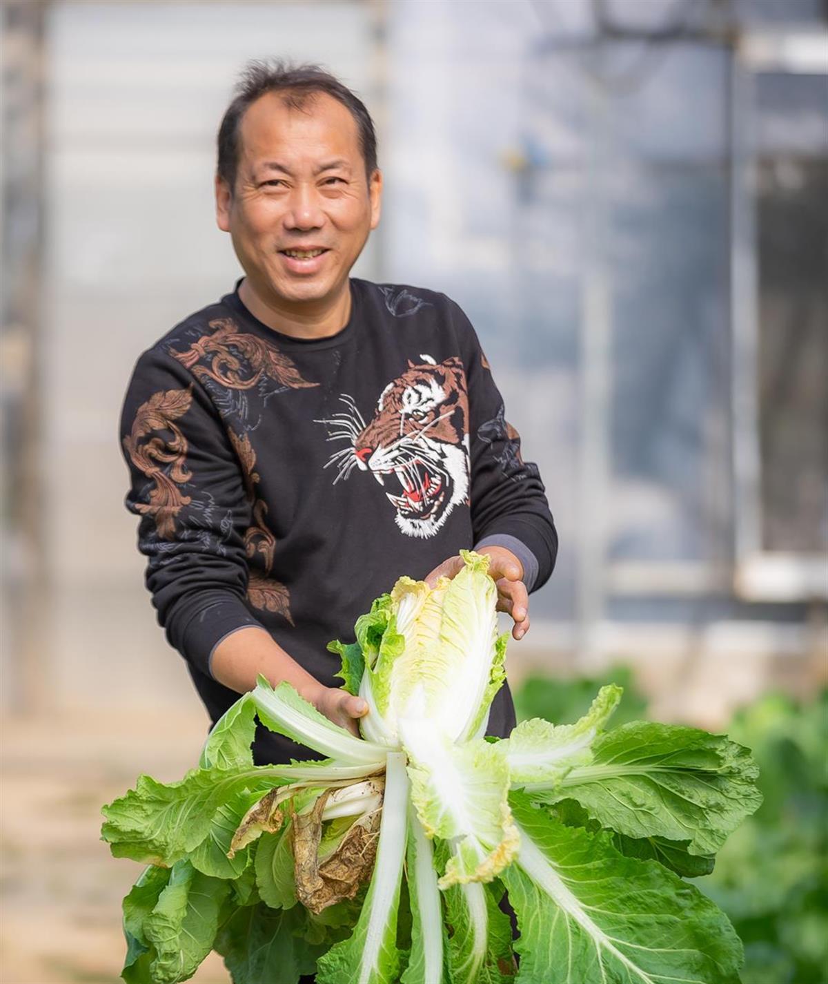 乐动体育 LD体育这种“稀奇菜”你吃过吗？它们来自武汉东西湖