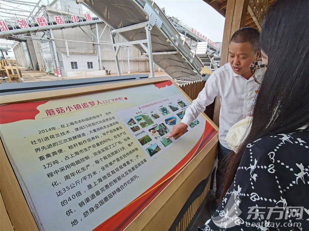 LD乐动体育亩产量翻了30多倍 他联农致富把小蘑菇做成大产业(图4)