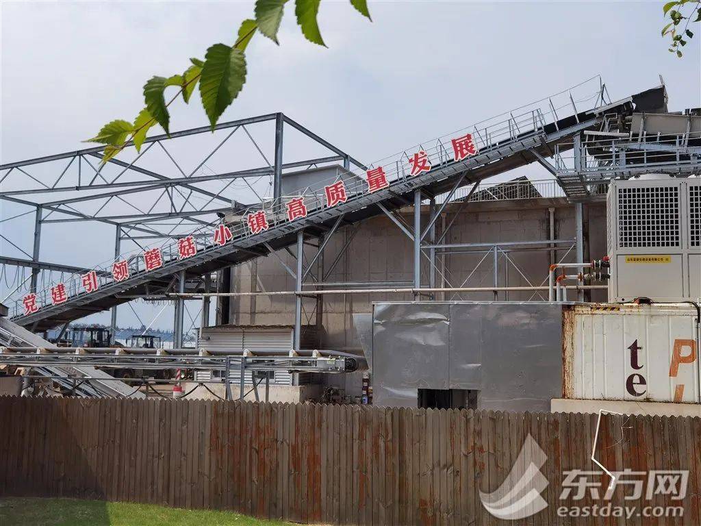 LD乐动体育亩产量翻了30多倍 他联农致富把小蘑菇做成大产业(图5)