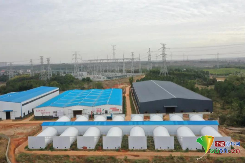 南昌新建区：小蘑菇住进“电脑房” 科技创新引领增收路LD乐动