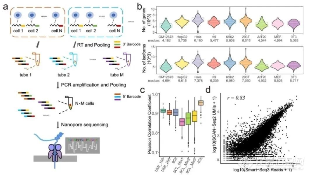 LD乐动体育北京大学汤富酬等发布单细胞测序技术最新研究成果
