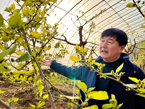 乐动体育 LD体育这个春节 涞水“新型农民”格外忙(图4)