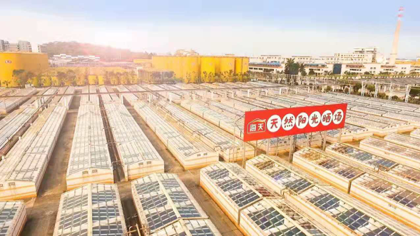 乐动体育解锁中华老字号“海天味业”的发展密码